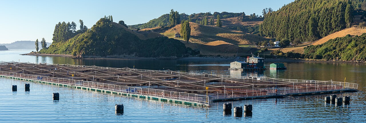 Turnkey fish farm design