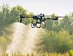 Инсектицидная обработка посевов дронами