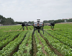 Фунгицидная обработка посевов дронами